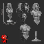 h3LL creator Rayne - BloodRayne 2 - Highly Detailed Statue - Fanart