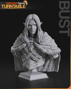 Drizzt Do'Urden — Baldurs Gate — Statue by NomNom