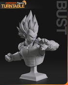 Vegeta vs Broly — Dragonball Z — Statue by NomNom