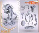 Xenomorph — Alien — Statue by NomNom